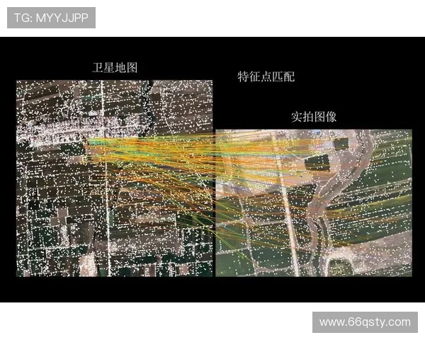 第一导视直播：开启全新视觉导航体验